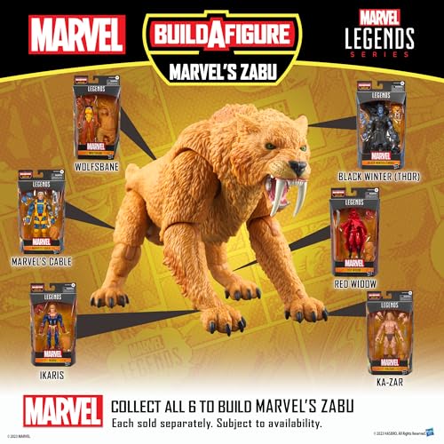 Hasbro Marvel Legends Series Black Winter (Thor) Comics Collectible 6-inch (15cm) Action Figure with Build-A-Figure Parts F9073 Authentic Product