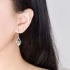 925 Sterling Silver New Women's Fashion Jewelry High Quality Crystal Zircon Hooked Heart-shaped Long Earrings