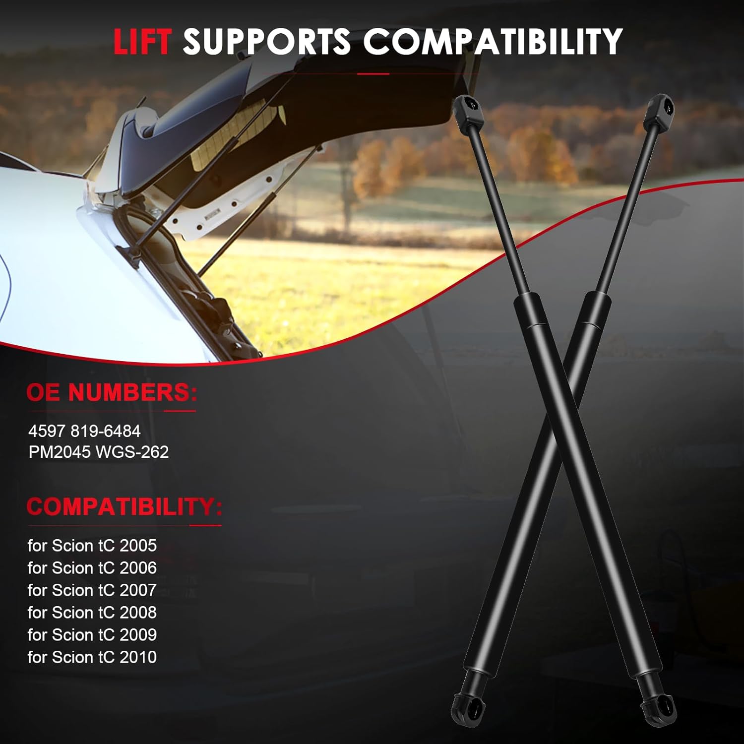 Rear Hatch Lift Supports for 2005-2010 for Scion tC Liftgate Struts & Tailgate Shocks & Trunk Gas Springs Replace OE 4597 819-6484 PM2045 WGS-262