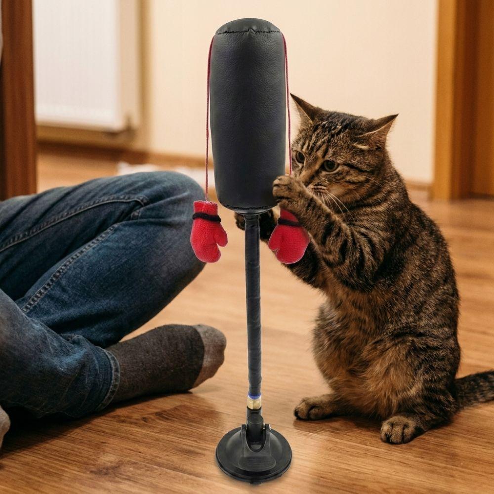 Saugnapf Katze Boxspielzeug Kratztrainer Interaktives Katzenspielzeug Katzenboxspiel Kätzchen Necken