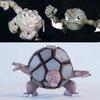 Anime Pokemon Figur Geodude Evolutionskombination Actionfiguren PVC Statue Sammlermodell Spielzeug Geschenke