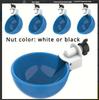 Automatic Poultry Water Bowl: Chicken Drinking Cup & Water Feeder