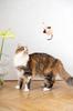Natural Woolen Cat Toy: Mouse String