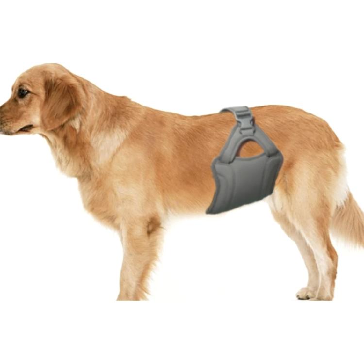 Breathable Dog Physiological Pants High Absorbing Leak-proof Pet Underwear Comfortable Washable Male Dog Diapers