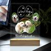 Personalized Acrylic Pet Portrait Luminary Glowing Ornament Customizable with Pet Picture Word Gift for Pet Parents Enthusiasts