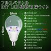 E17 Plant Grow Light, New LED Full Spectrum LED Plant Light, E17 Base, Standard Bulb, Indoor Plant Grow Light, E17 LED Bulbs, Pack of 2