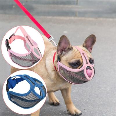 Miljøvennlig valpekurv rivebestandig komfortabelt kjæledyr treningsverktøy