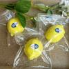 Toys Kids  Childrens Toys Toys Squishy Stress Relief Sensory for Adults Anxiety Relief Fidget Slow Rebound Silicone Fruit Lemon Squeeze