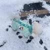 Winter Thickened Warm Dog Coat for Small Dogs Teddy Bichon Pomeranian Cats Pet Clothes Dog Costume Dog Clothes for Big Dogs