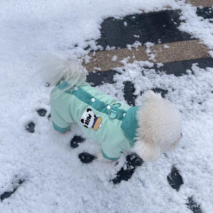 Winter Thickened Warm Dog Coat for Small Dogs Teddy Bichon Pomeranian Cats Pet Clothes Dog Costume Dog Clothes for Big Dogs