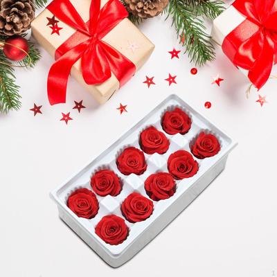 10Pcs Rose Flower Heads Eternal Dried Preserved for Girlfriend Her Wife