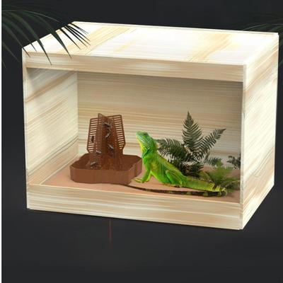 Bearded Dragon Feeder Chameleon Feeding Bowl Climbable Design Food Dish for Horned Frog Gecko