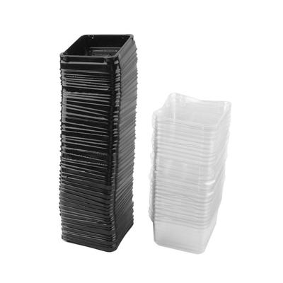 50 Stück Plastik Mondkuchen Muffin Boxen Behälter Halter Bäckerei Leckereien Langlebig Leicht zu Tragen Geschenkverpackung