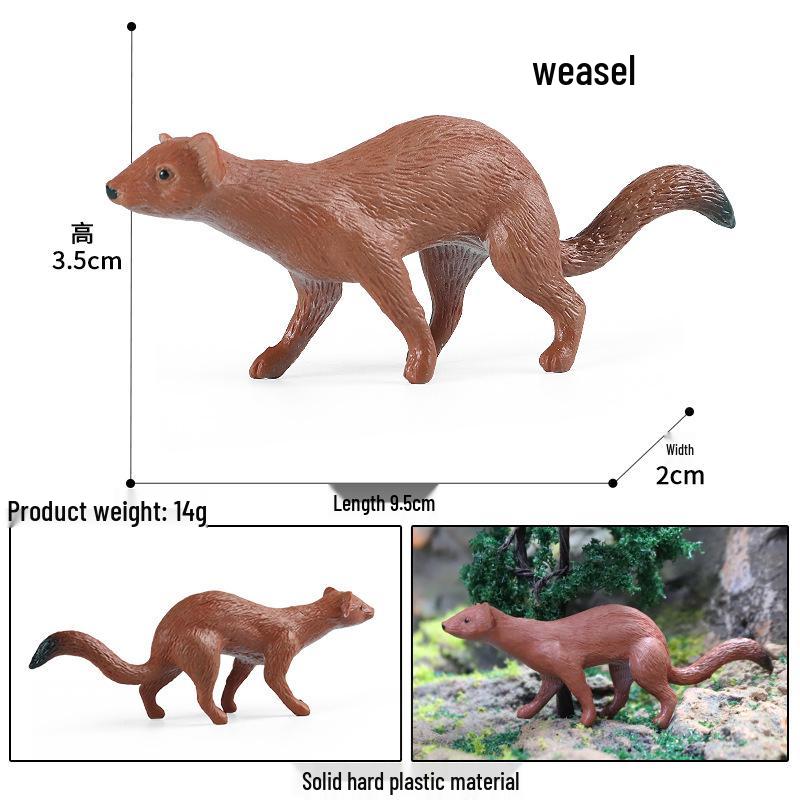 Yellow Weasel Model Toy: Mustelidae Mammal Simulation for Kids