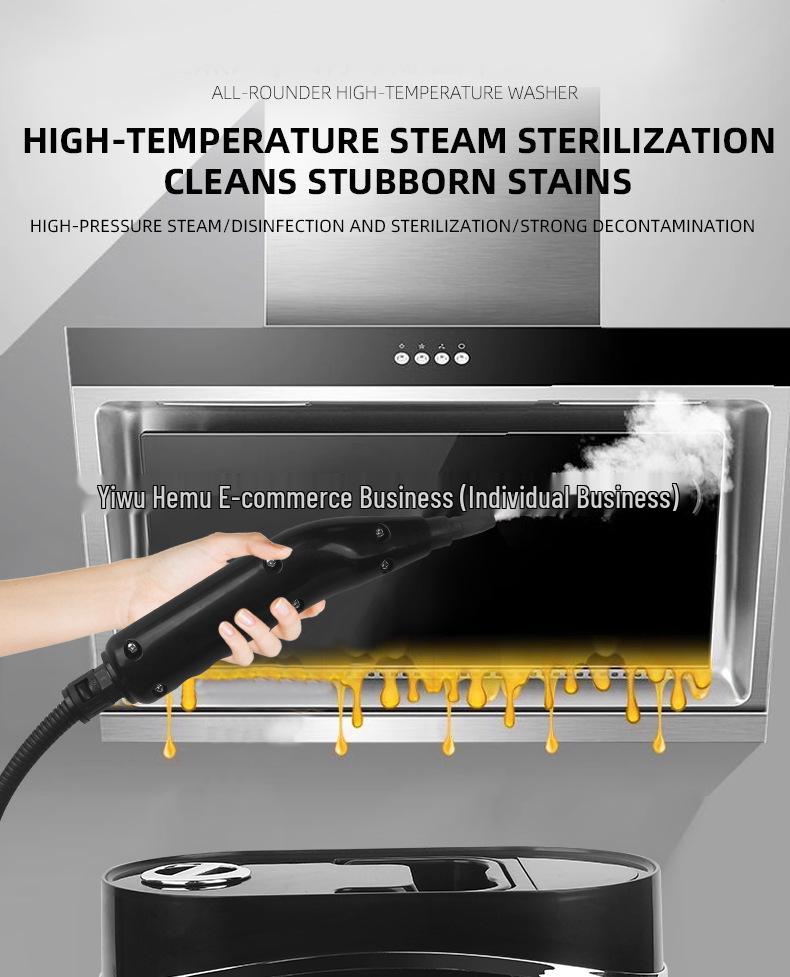 110V/220V High-Pressure Steam Cleaner for Car, A/C, & Kitchen