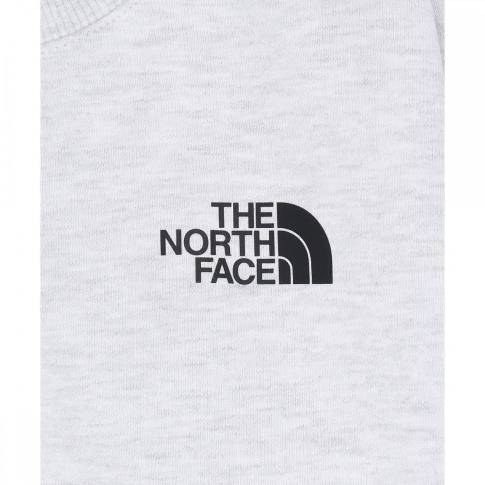 The North Face Kids Go To Sweatshirt heaTher Gray Nm5ms02s