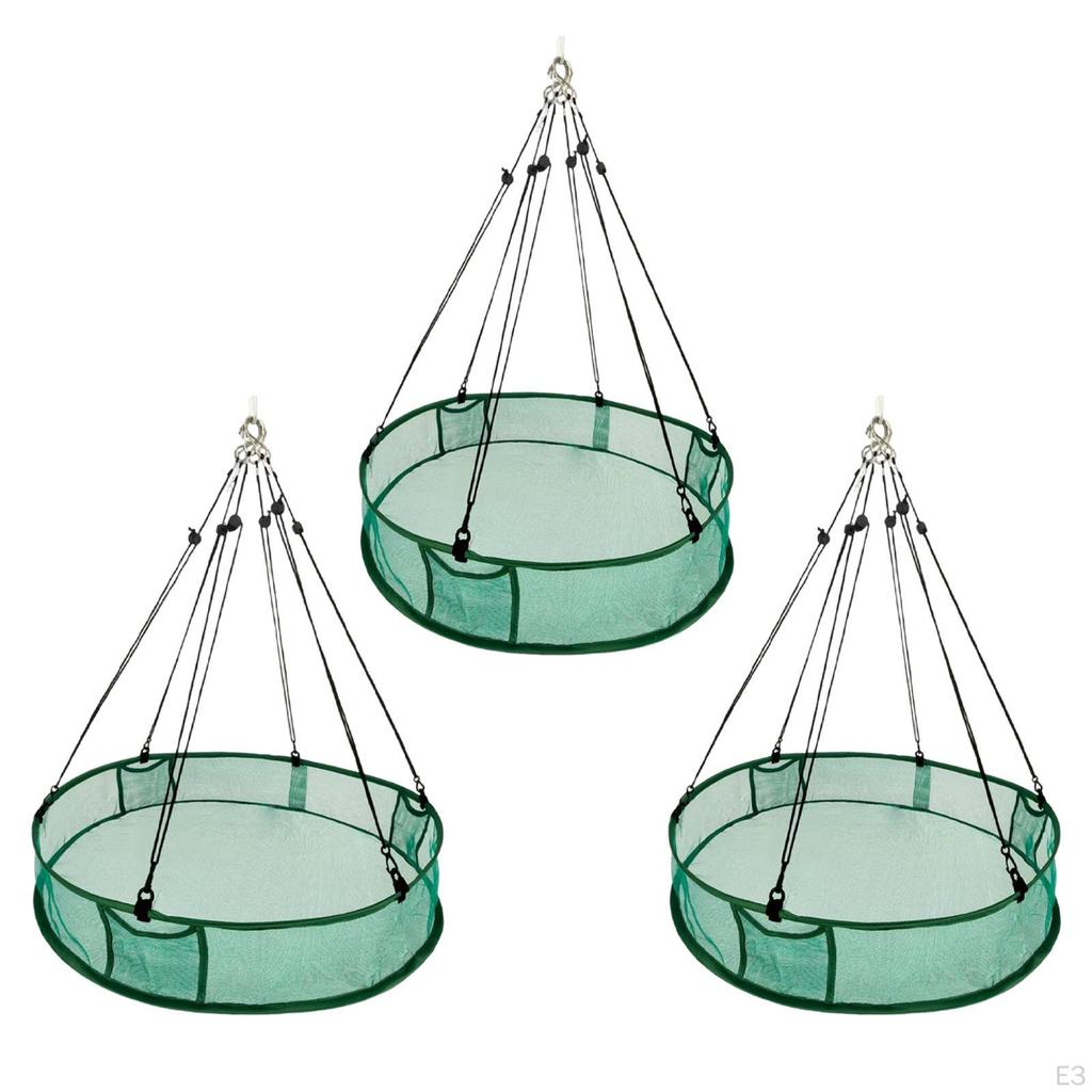 Bird Catcher Hanging Hoop Station Tray