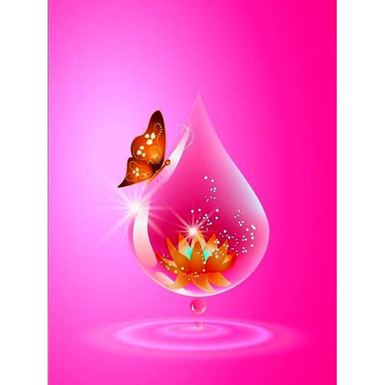 

DIY 5D Алмазная мозаика бабочка цветок ручной работы алмазная живопись наборы для вышивки крестом Алмазные стразы искусство 30*40 cm