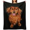 Dachshund Long Hair, Dachshund Looks Funny Throw Blanket Camping Luxury Thicken Sofa Bed Blankets Sofas Of Decoration Blankets