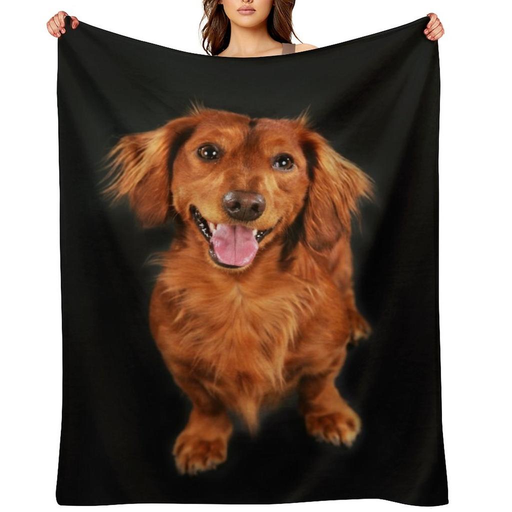 Dachshund Long Hair, Dachshund Looks Funny Throw Blanket Camping Luxury Thicken Sofa Bed Blankets Sofas Of Decoration Blankets