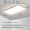 Xuan Yong Ultra-Thin LED Ceiling Light