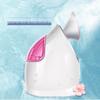 Jindao Nano Hot Mist Facial Steamer