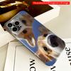 2DFlat Corgi Duo Selfie Blue Sky All Inclusive Film Hard iPhone Case, Compatible with iPhone 18 Pro Max 17 16 15 14 13 12 11