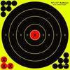 30 Color-Changing Adhesive Shooting Targets - 12-Inch, 31 Sheets