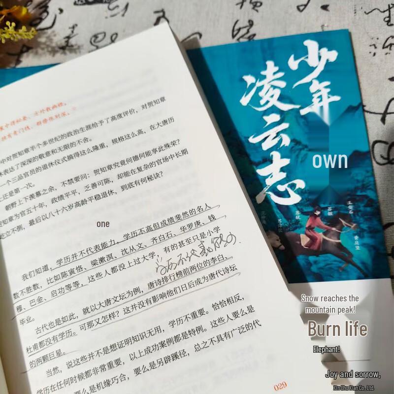 The High-Energy Lives of Tang and Song Poets: Youth's Lofty Ambitions