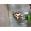 Used Rewrite Heroine Figure 1 Kobe Kotori Furyu No Box