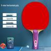 Double Fish Professional Training Table Tennis Bat