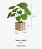 Nordic Indoor Desktop Bonsai: Artificial Green Plants for Office Decoration