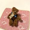 [USED] Brown Miniature Teddy Bear, Cotswolds, England