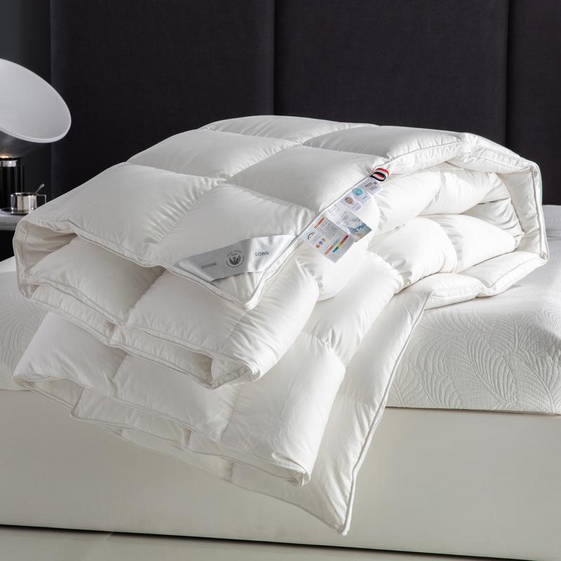 Luxury Goose Down Comforter: 95% White Duck Down, Warm & Thick for Star Hotels 160x210cm, 700g (Spring/Autumn)