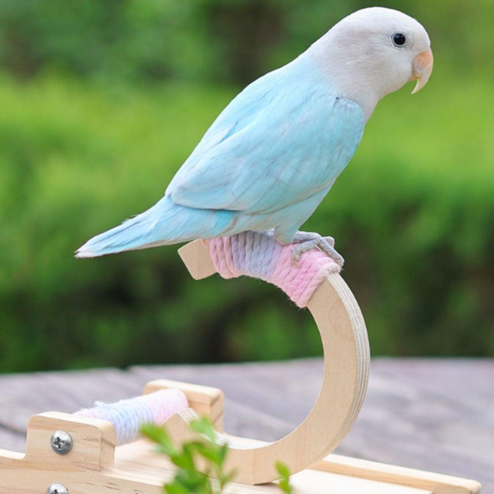 Funny Wooden Parrot Perch Stand Wear-resistant Bite-resistant Bird Training Stand Flexible Bird Rocking Stand Behavior Training