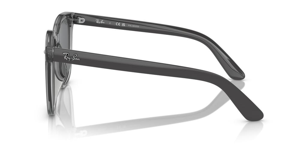 Sunglasses 0RB4401D TRANSPARENT GRAY 55 [Ray-Ban]