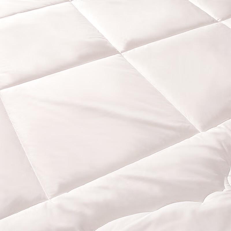 Fuanna Warm Antibacterial New Zealand Wool Winter Quilt