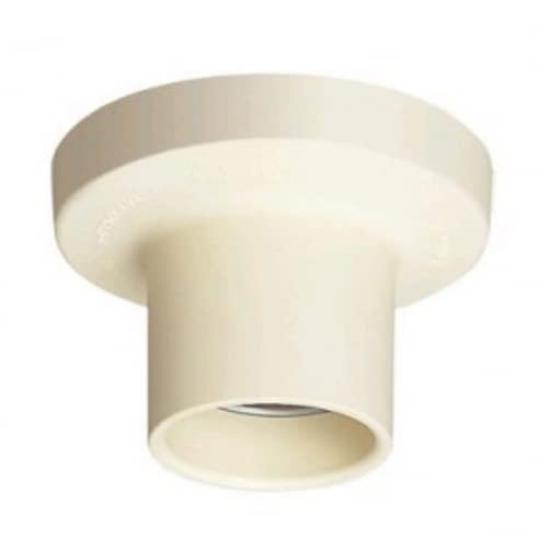 

Panasonic Hanging Recep Cap Milky White 1A125V WW3410WK