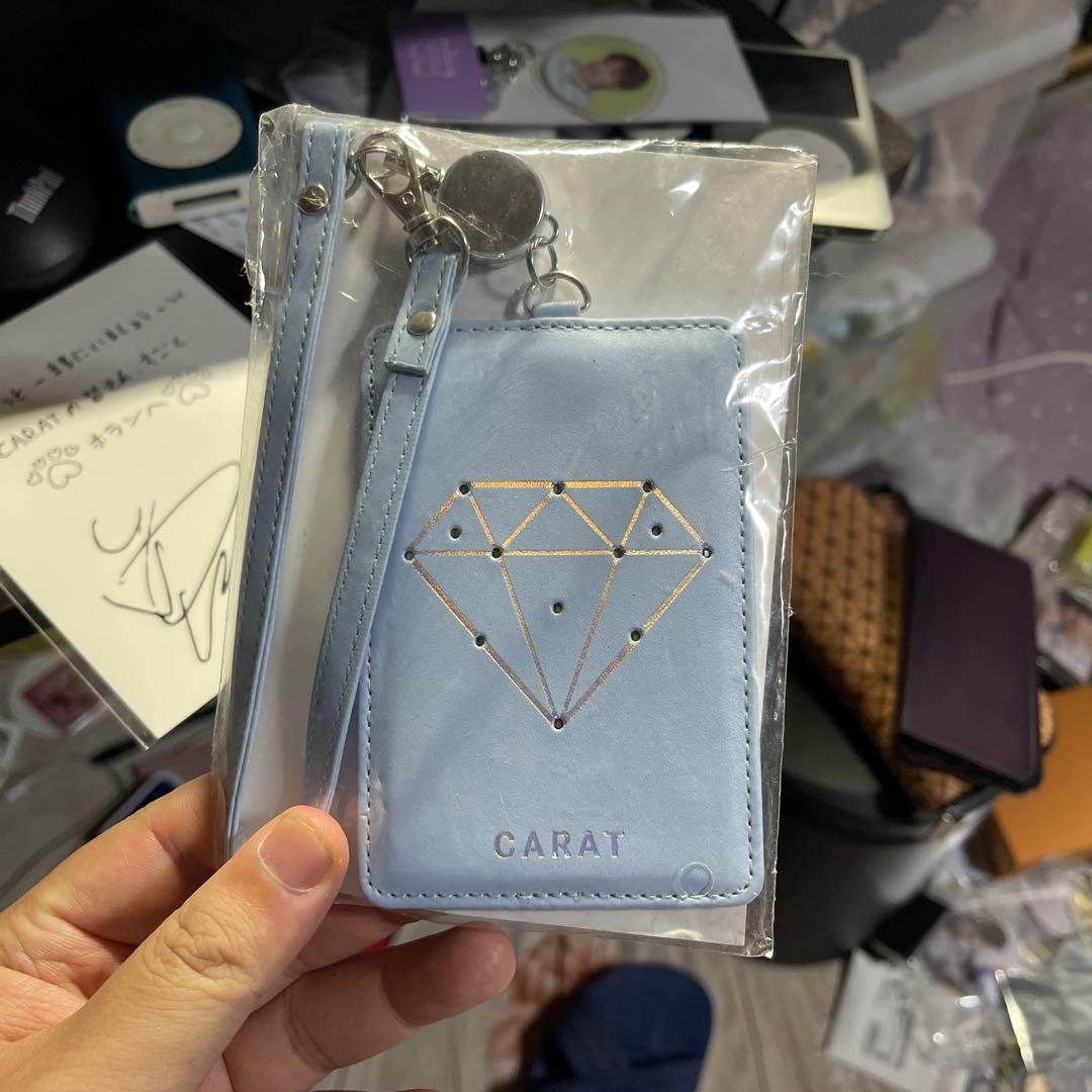 

[USED] Seventeen Flash Pass Case