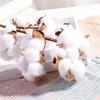 10 Heads Wedding Decoration Home Decor Floral Branch Artificial Plants Dried Cotton Flower Cotton Stem