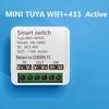 Tuya WiFi Smart Switch: 12V/24V Constant Voltage with WiFi and 433 Remote Control for Door Lock or Light Modification