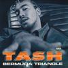 12-Zoll-Schallplatte TASH Bermuda Triangle 07863657151 LOUD 1999 US Rap HipHopRB Gebraucht