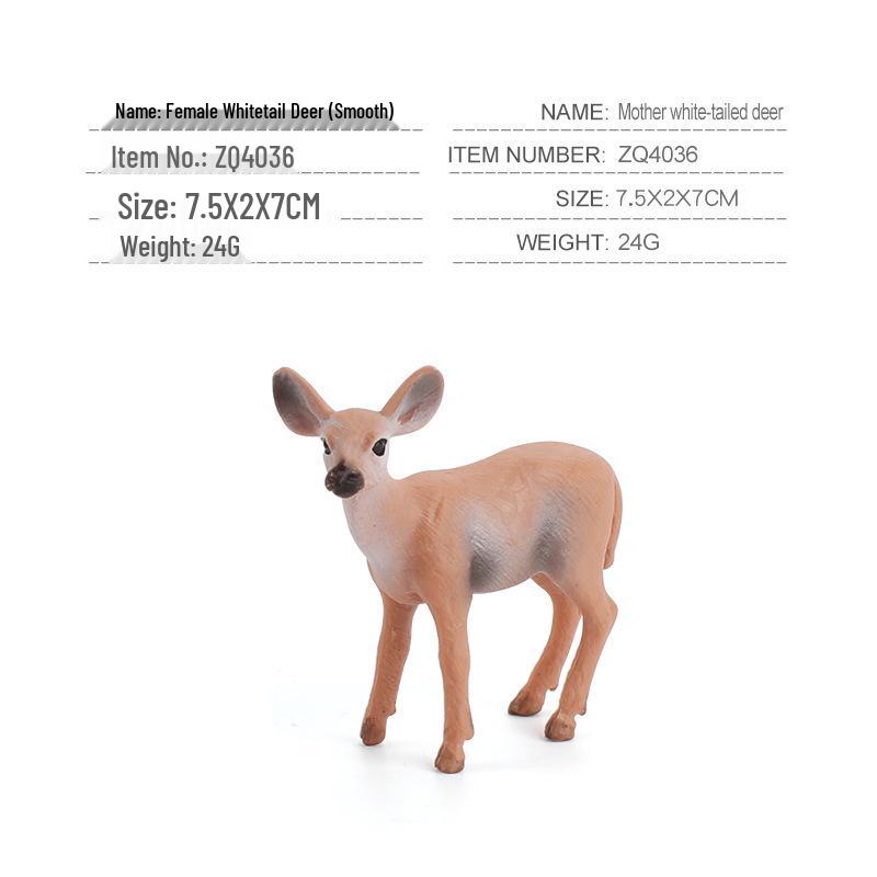 Children's Cognitive Forest Animal Deer Set: White-tailed Deer Fawn Ornaments & Figurines