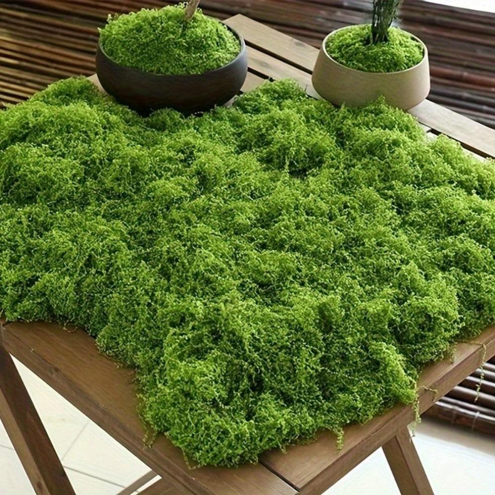 100G Realistic Artificial Moss For Diy Crafts & Home Decor Perfect For Indoor Landscapes & Wedding Decorations