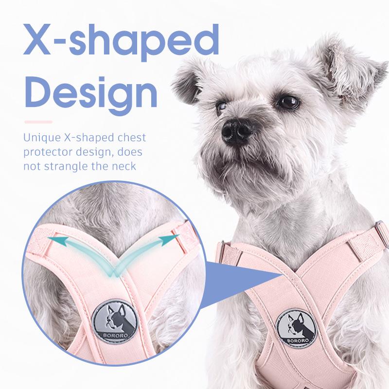 Hundegeschirr Mit Leine Für Kleine Hunde - Step-In Design & Reflektierend - Atmungsaktiv & Verstellbar In XS, S, M