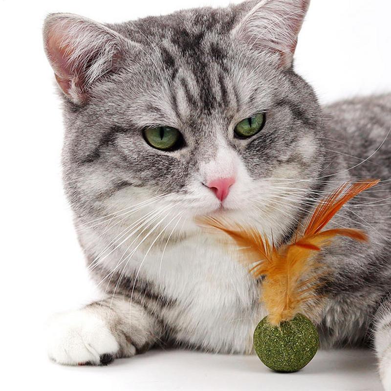 Catnip Balls for Cats Kitten Feather Edible Ball Interactive Cat Toys Indoor Cats Kicker Toy Teeth Cleaning Hairballs Removal