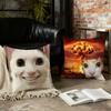 Cat Funny Meme cushion cover Birthday Anniversary Gifts Double Sided Printed Zipper Cushion Cover Soft Skin Bedding