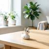 Woondecoratie – Beeldjes