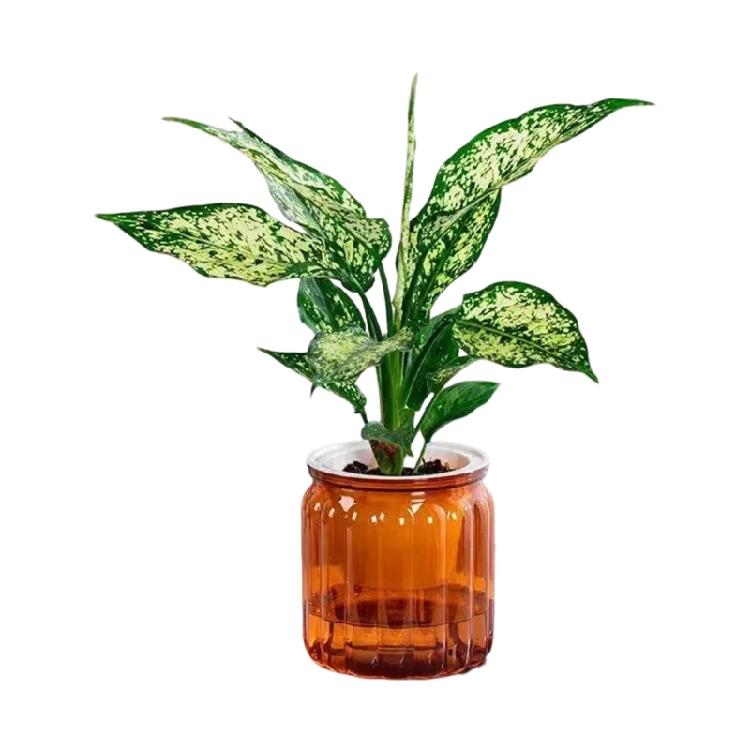 Self Watering Plant Pots Vase with Efficient Moisture Control for Easy Plant Maintenance Living Room Office Decoration