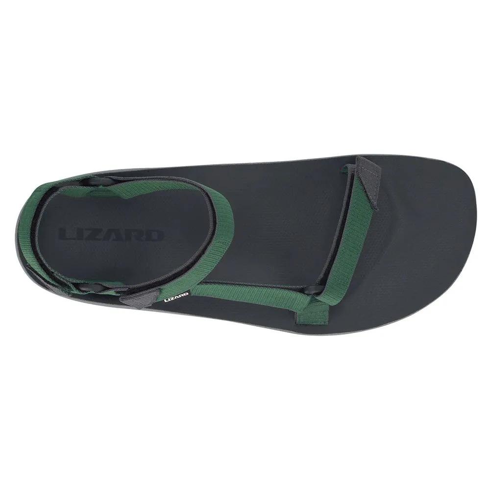 Lizard Sandals Hike 2